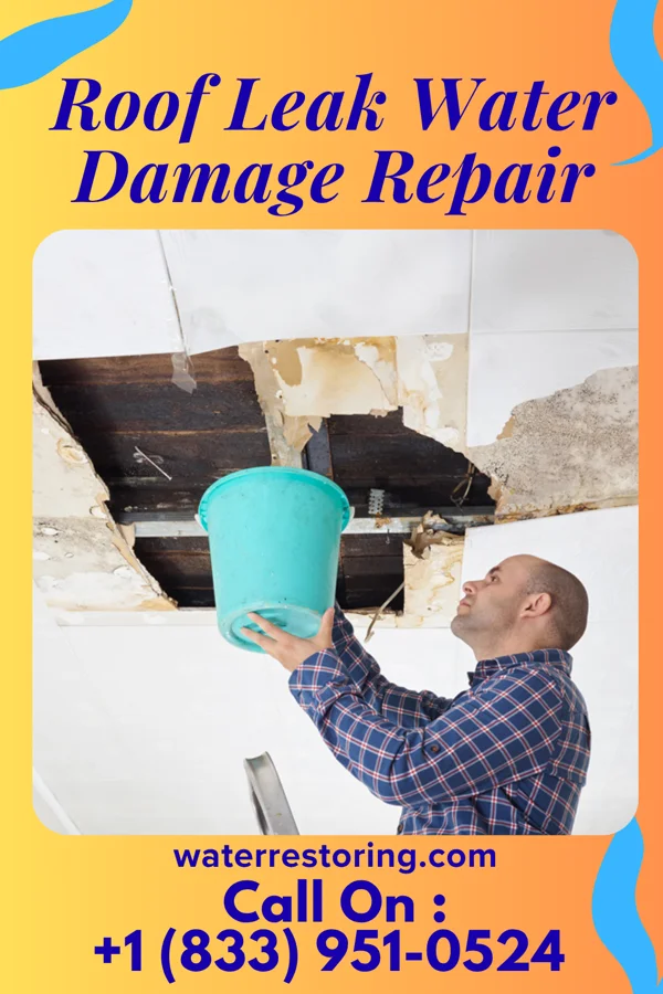 Roof Leak Water Damage Repair in Oden, AR